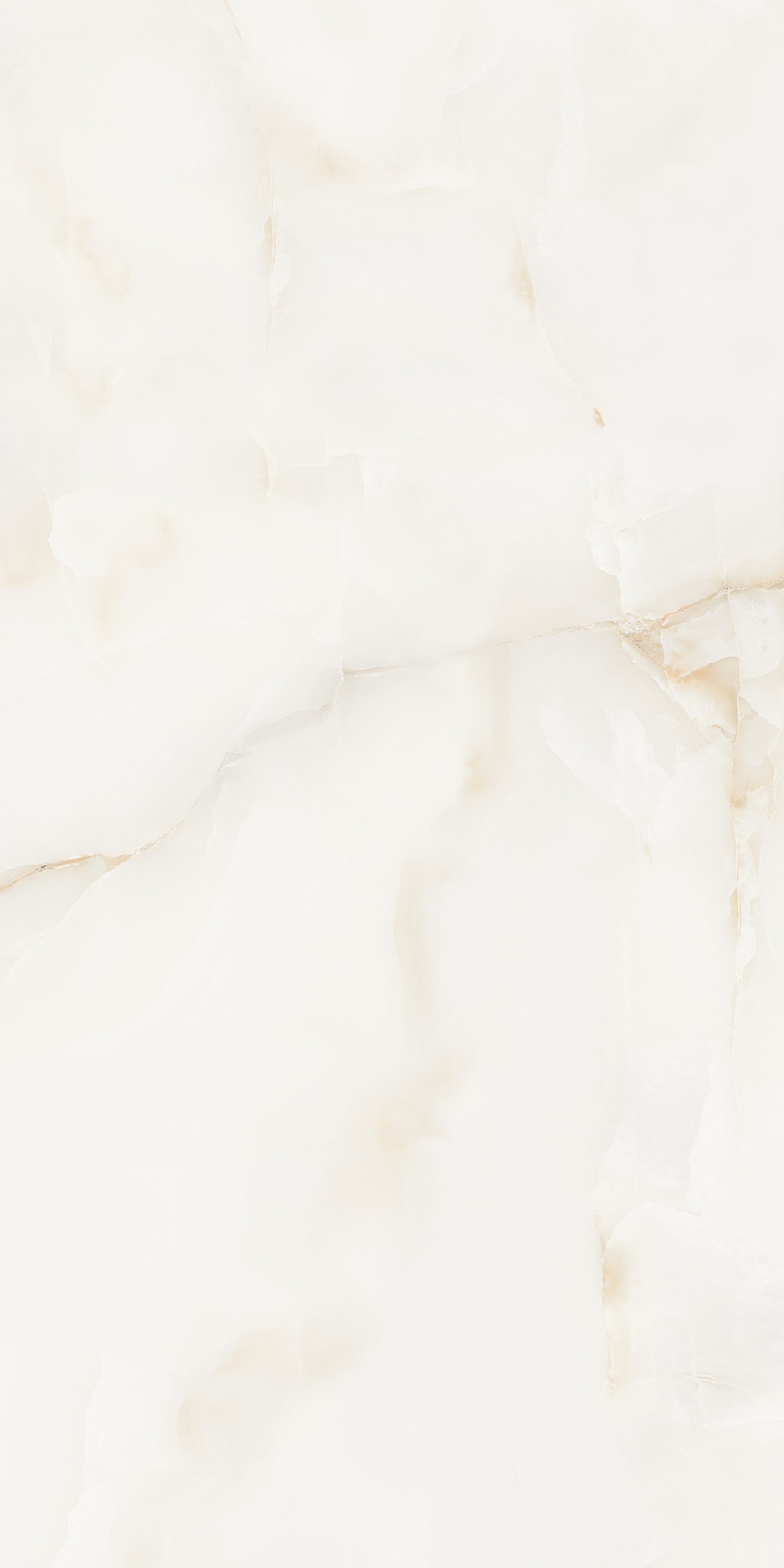 Antysky Brown Polished 60x120