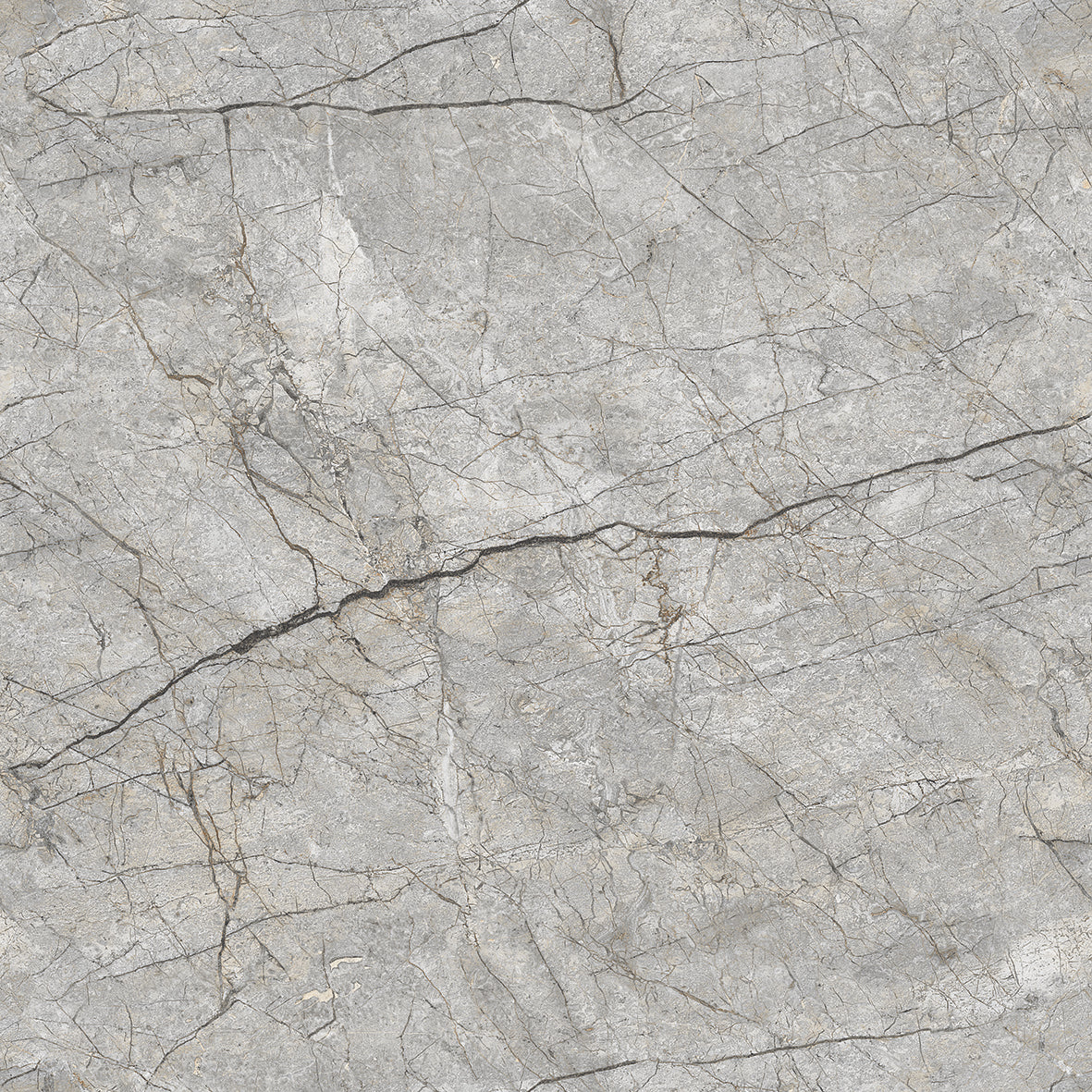 Forest grey Gloss 60x60