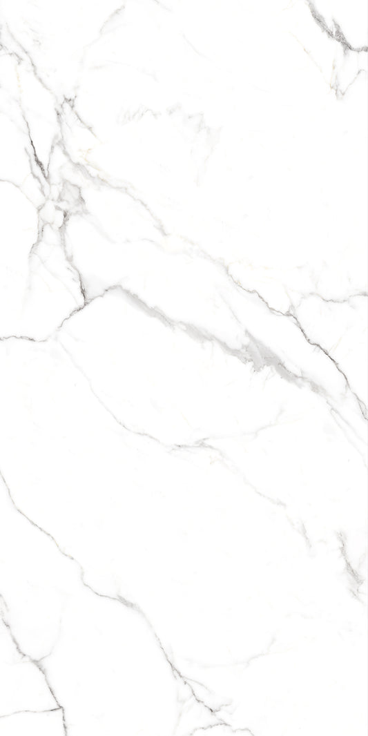 Snow White Polished 60x120