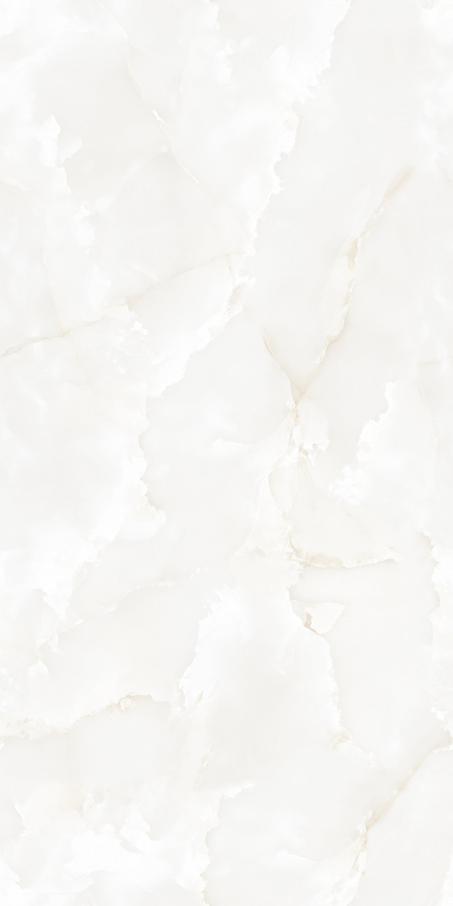 Sonata Bianco Polished 60x120