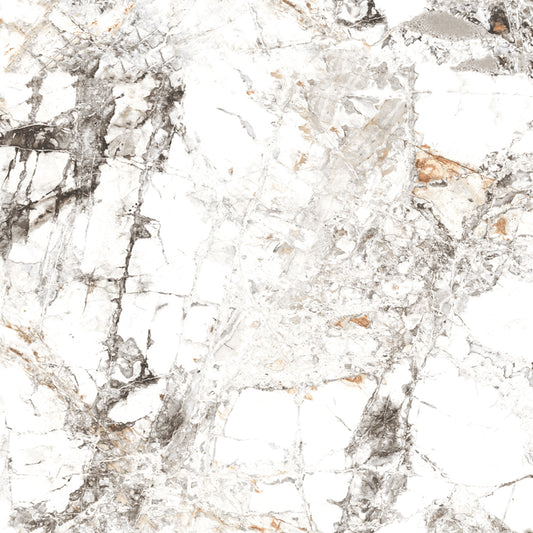 Stunning White Porcelain Zebra Tile - Polished Finish 60x60