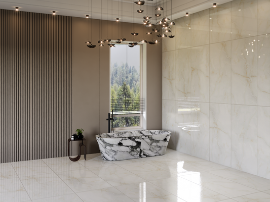 Antysky Brown Polished 60x120