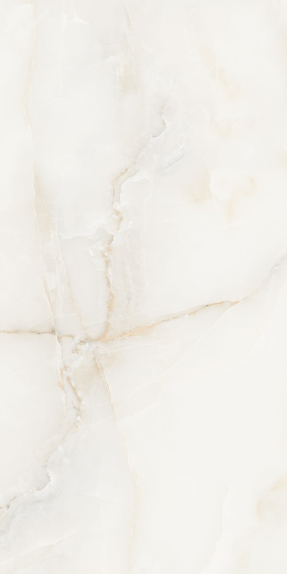 Antysky Brown Polished 60x120