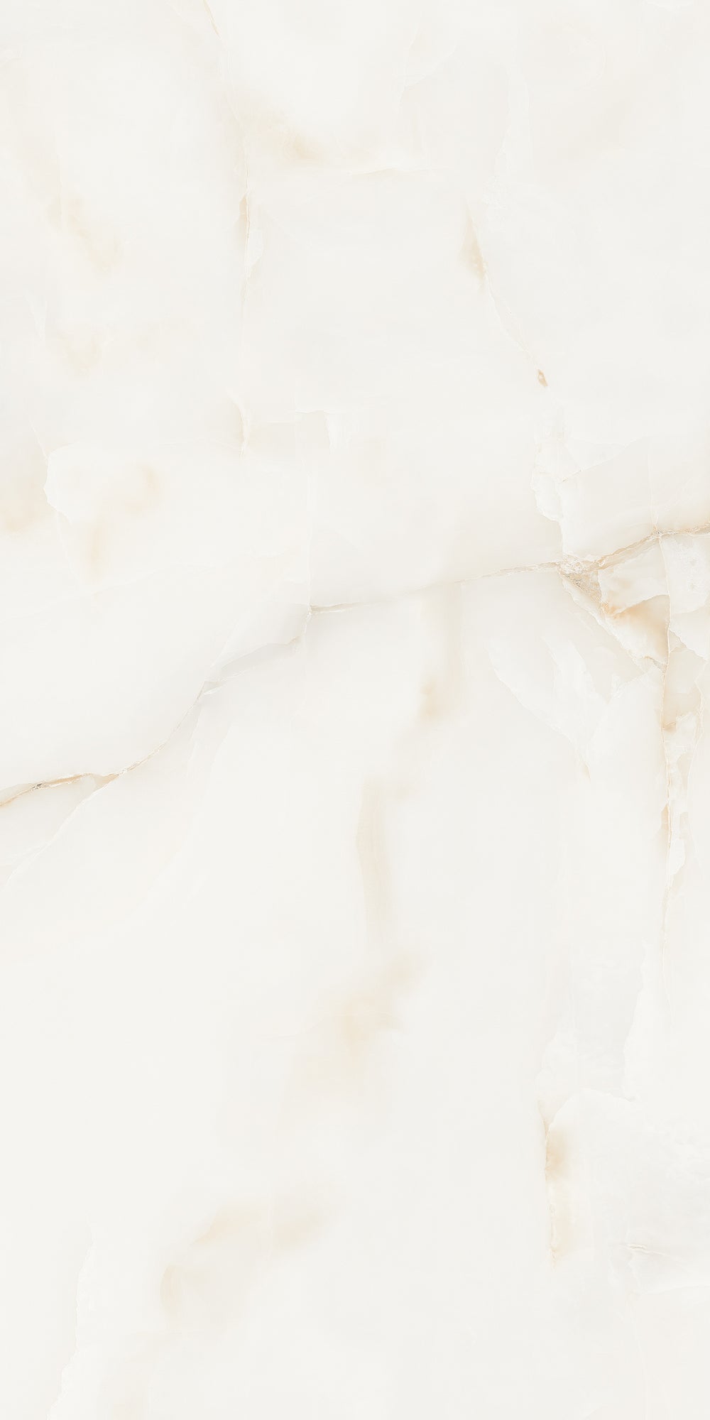 Antysky Brown Polished 60x120