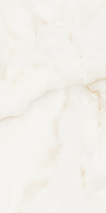 Antysky Brown Polished 60x120