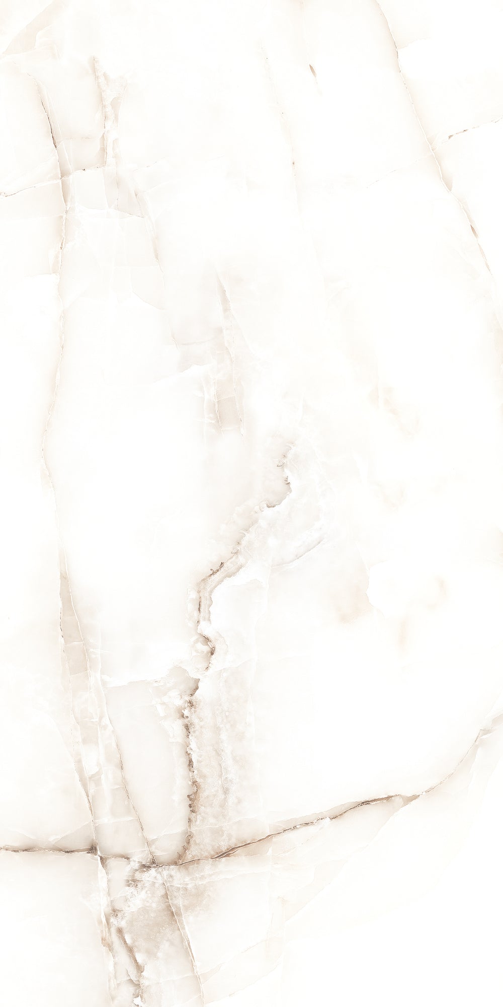 Antysky Pearl Polished 60X120