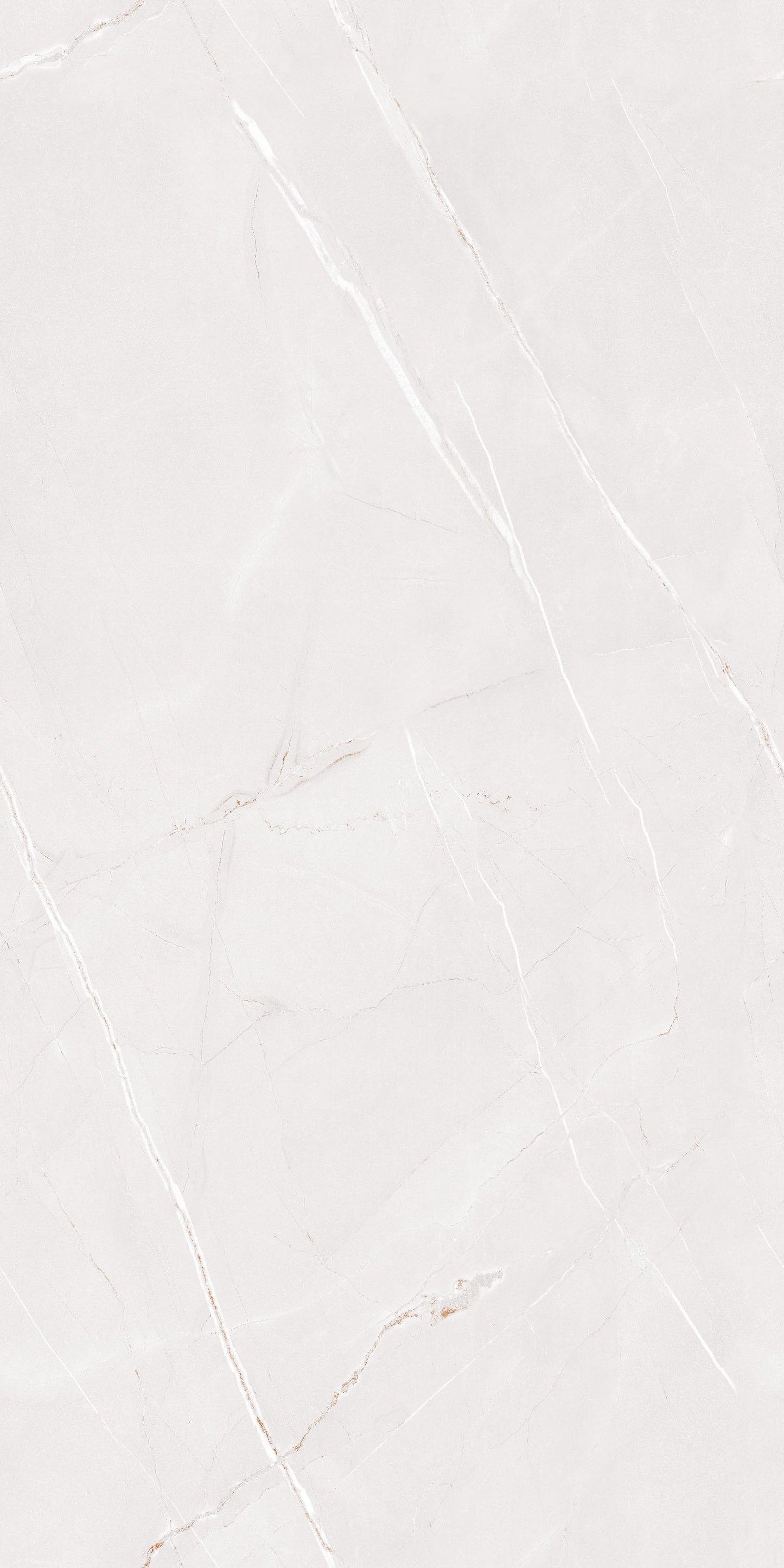 Arbian Bianco Polished 60x120