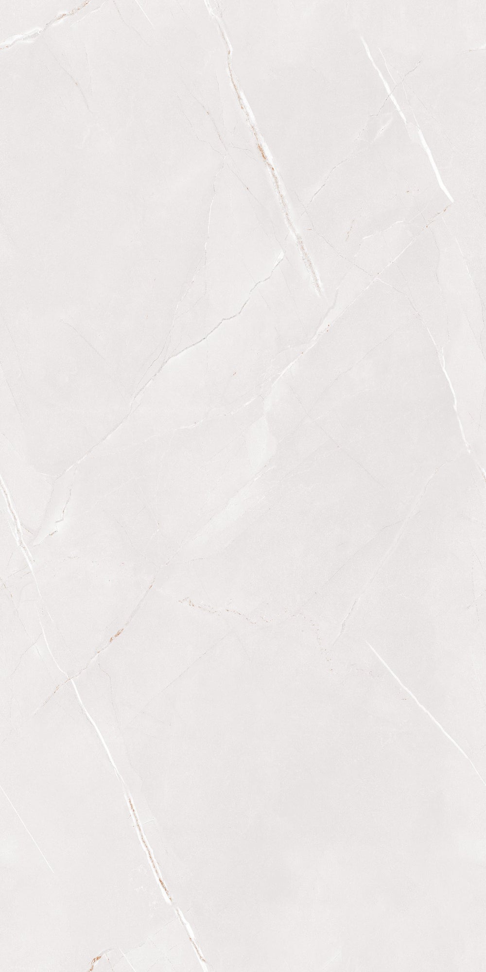 Arbian Bianco Polished 60x120