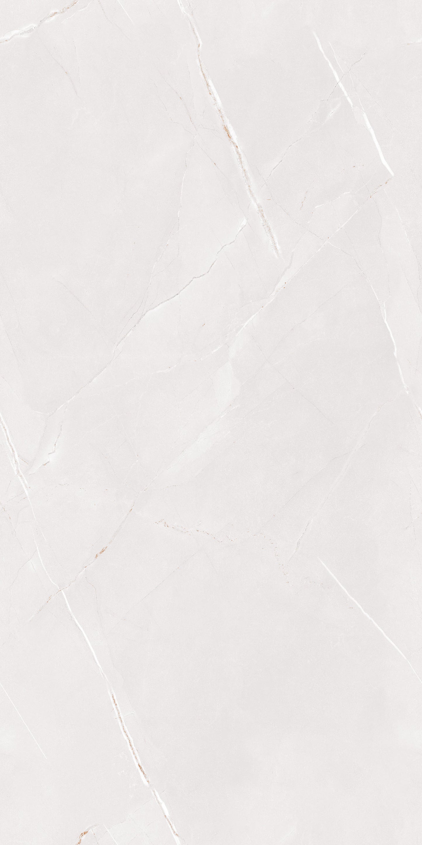 Arbian Bianco Polished 60x120