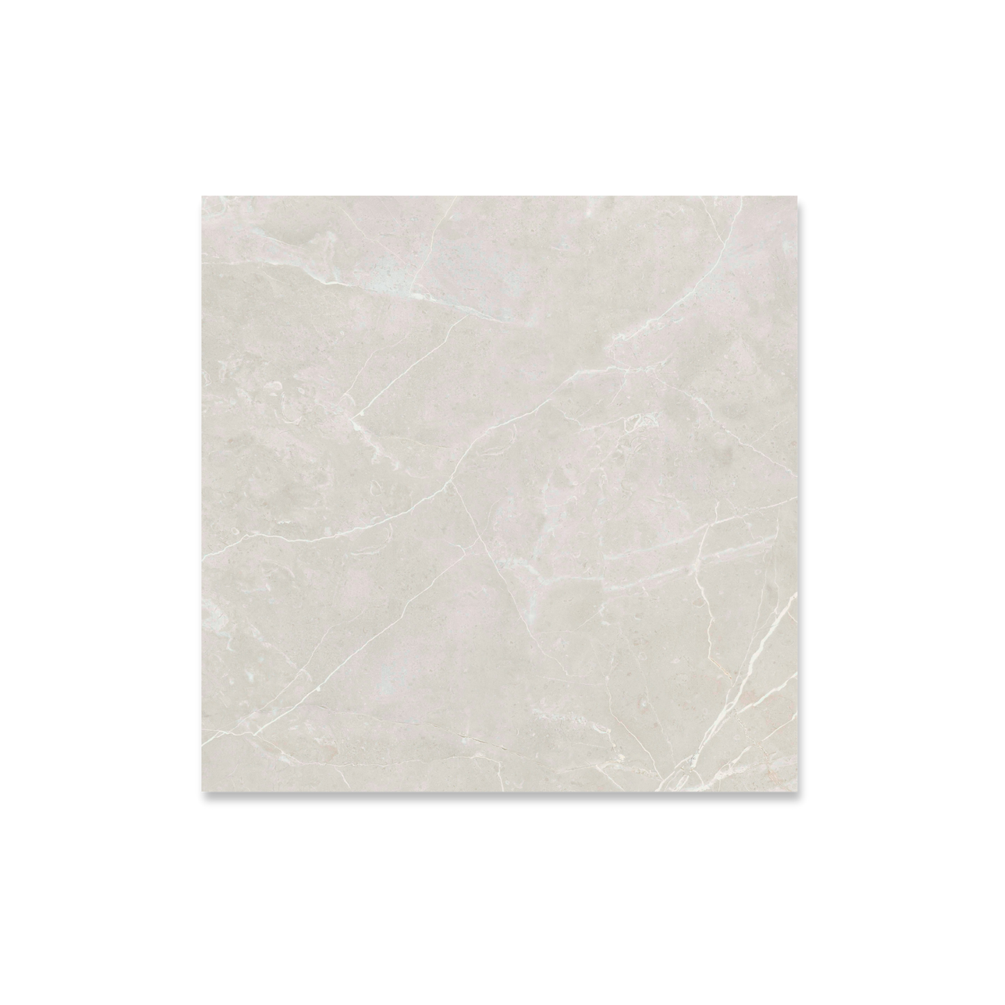 Belvedere Ivory Satin 60x60