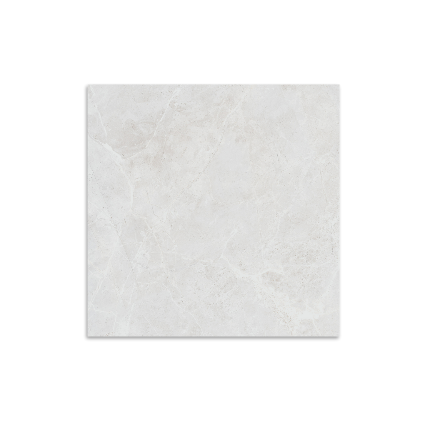 Belvedere White Satin 60x60