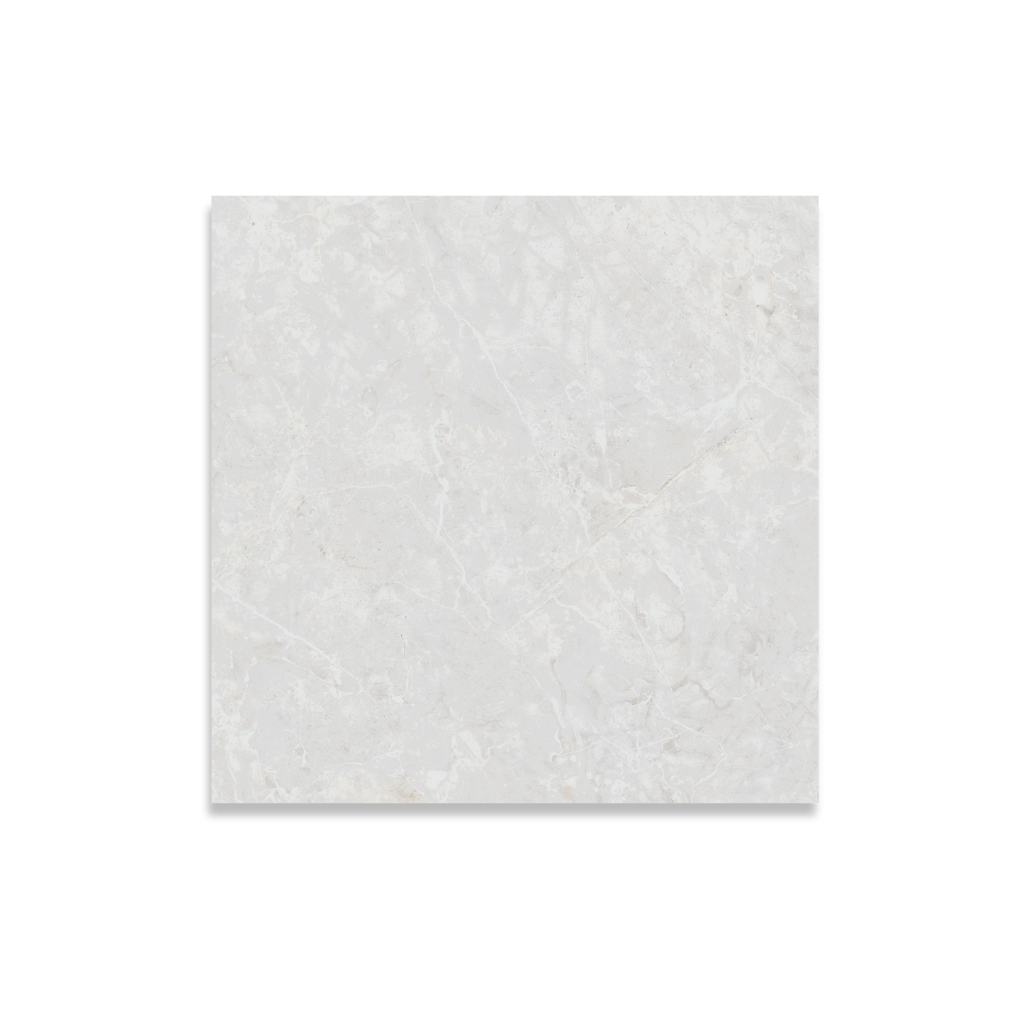 Belvedere White Satin 60x60