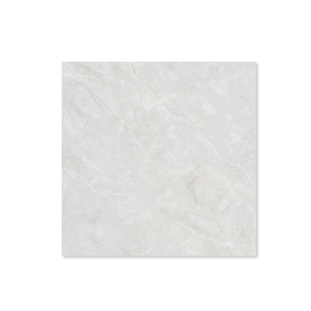 Belvedere White Polished 60x60