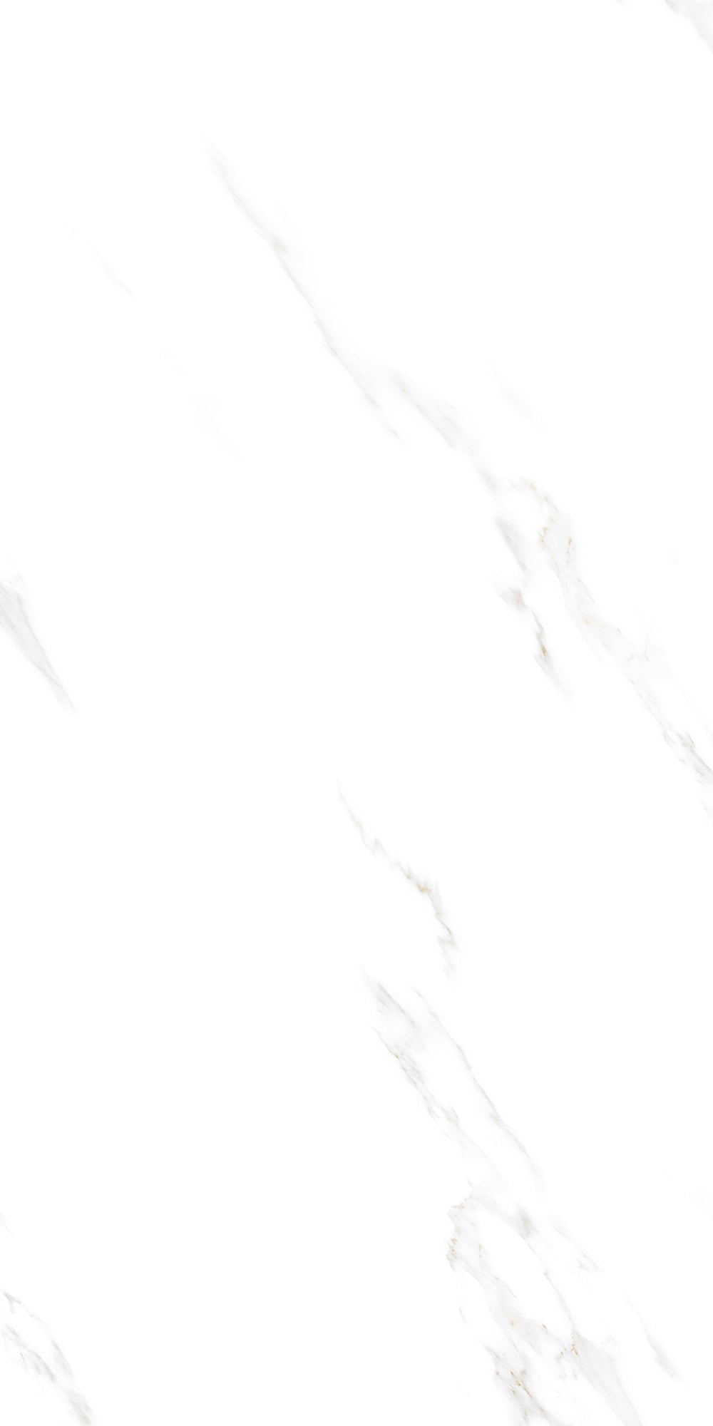 Marbella White Polished 60x120