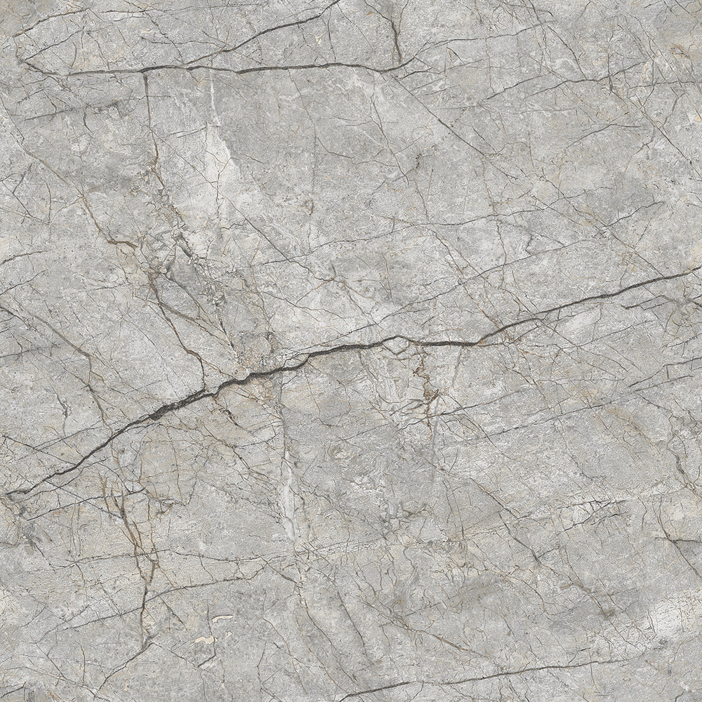 Forest grey Gloss 60x60