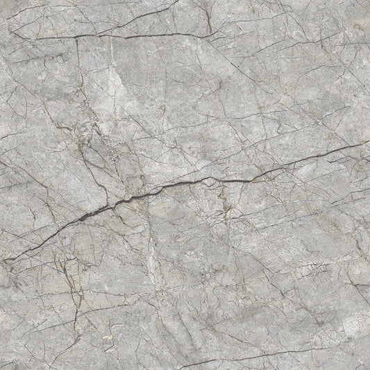 Forest grey Gloss 60x60