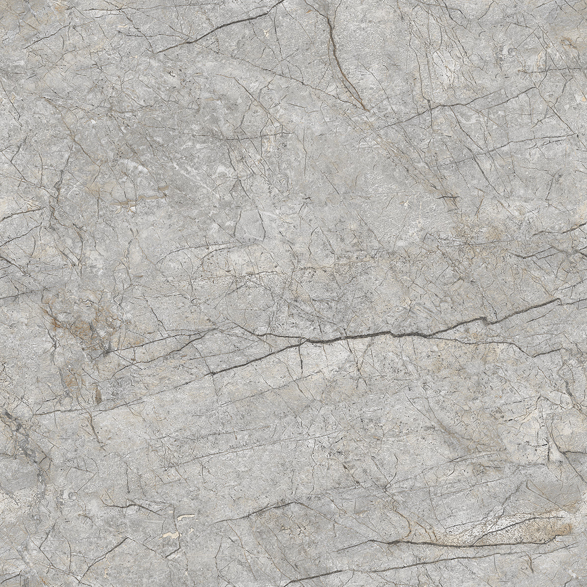 Forest grey Gloss 60x60