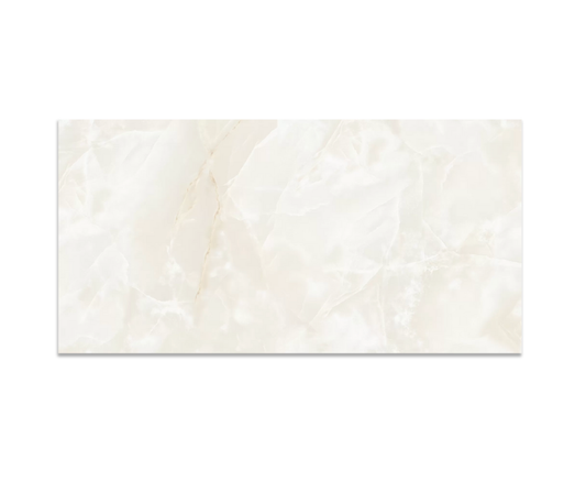 Resilio Onyx Polished 60x120