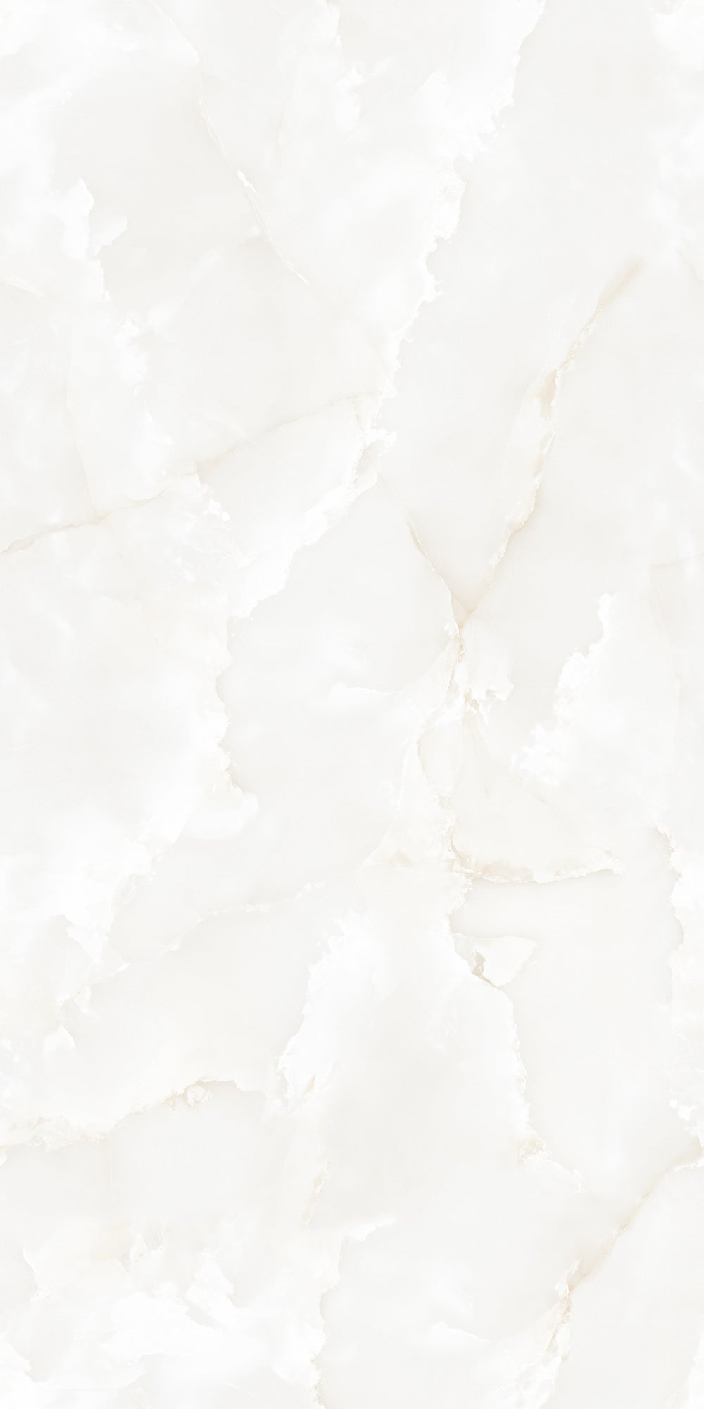 Sonata Bianco Polished 60x120