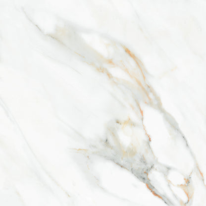 Seaside white Gloss 60x60