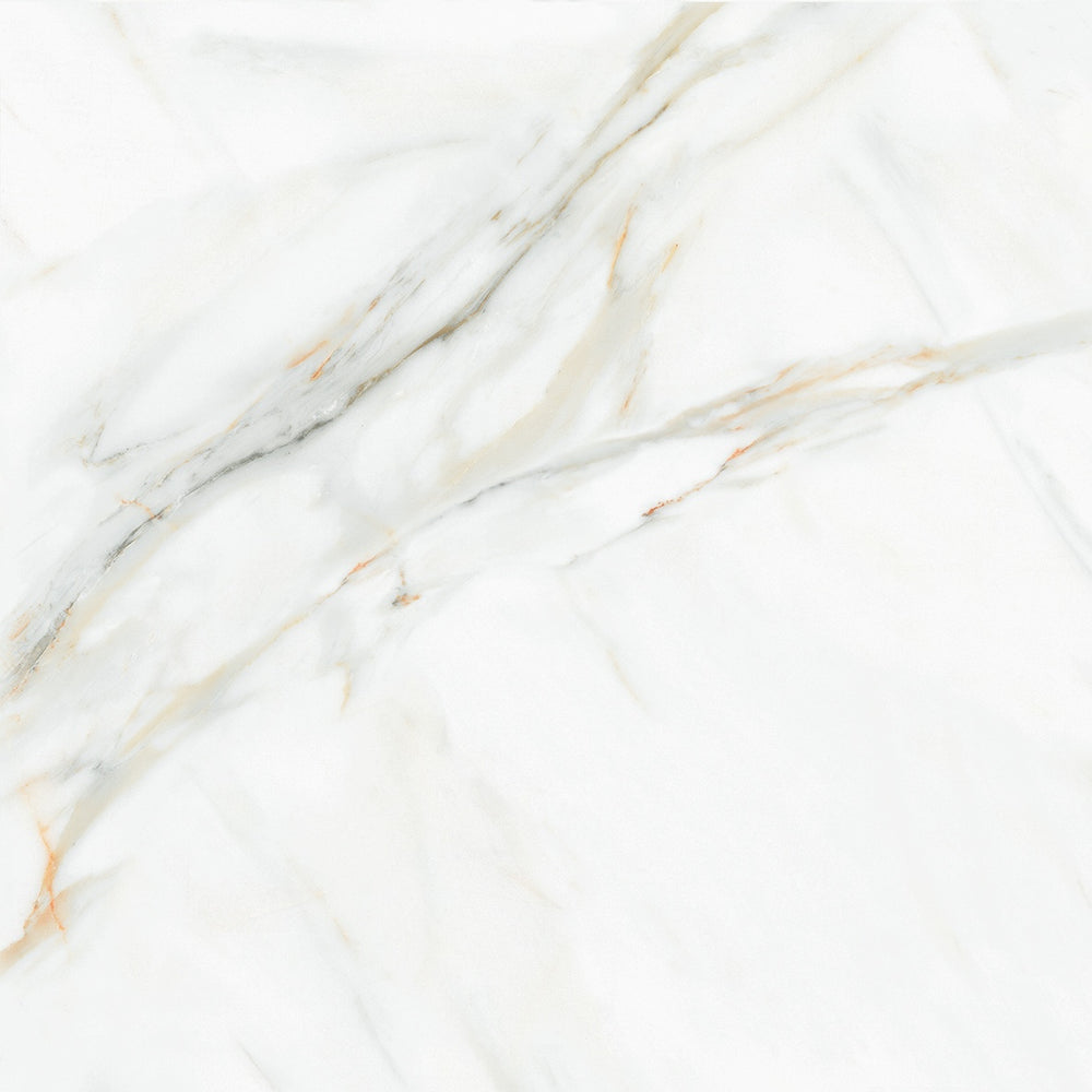 Seaside white Gloss 60x60