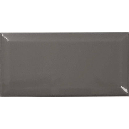 Glossy Grey Ceramic Wall Tiles - Biselado 10x20
