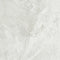 Elegant Carrara Sheen Porcelain Tile 24x24