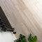 Forest Plank Porcelain Tile