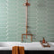 Minty HexaCeramic Wall Tiles